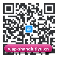 安卓版 Android 二维码